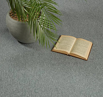 Ruscarpettiles Parma